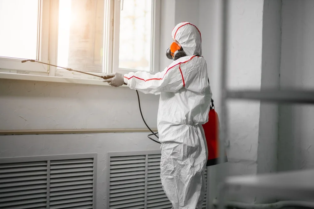 Professional mold remediation services in Bloomfield Hills, MI